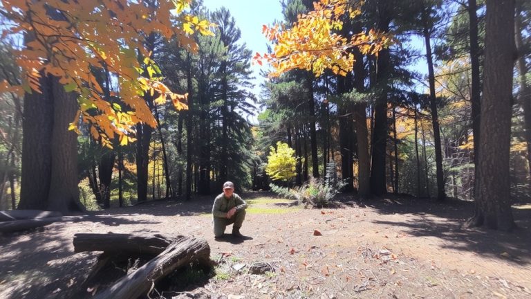 cadpat tw forest camouflage effectiveness